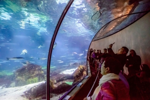 Barcelona Aquarium: Skip-the-Line Admission Ticket