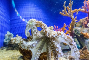 Barcelona Aquarium: Skip-the-Line Admission Ticket