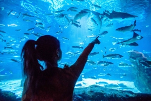 Barcelona Aquarium: Skip-the-Line Admission Ticket
