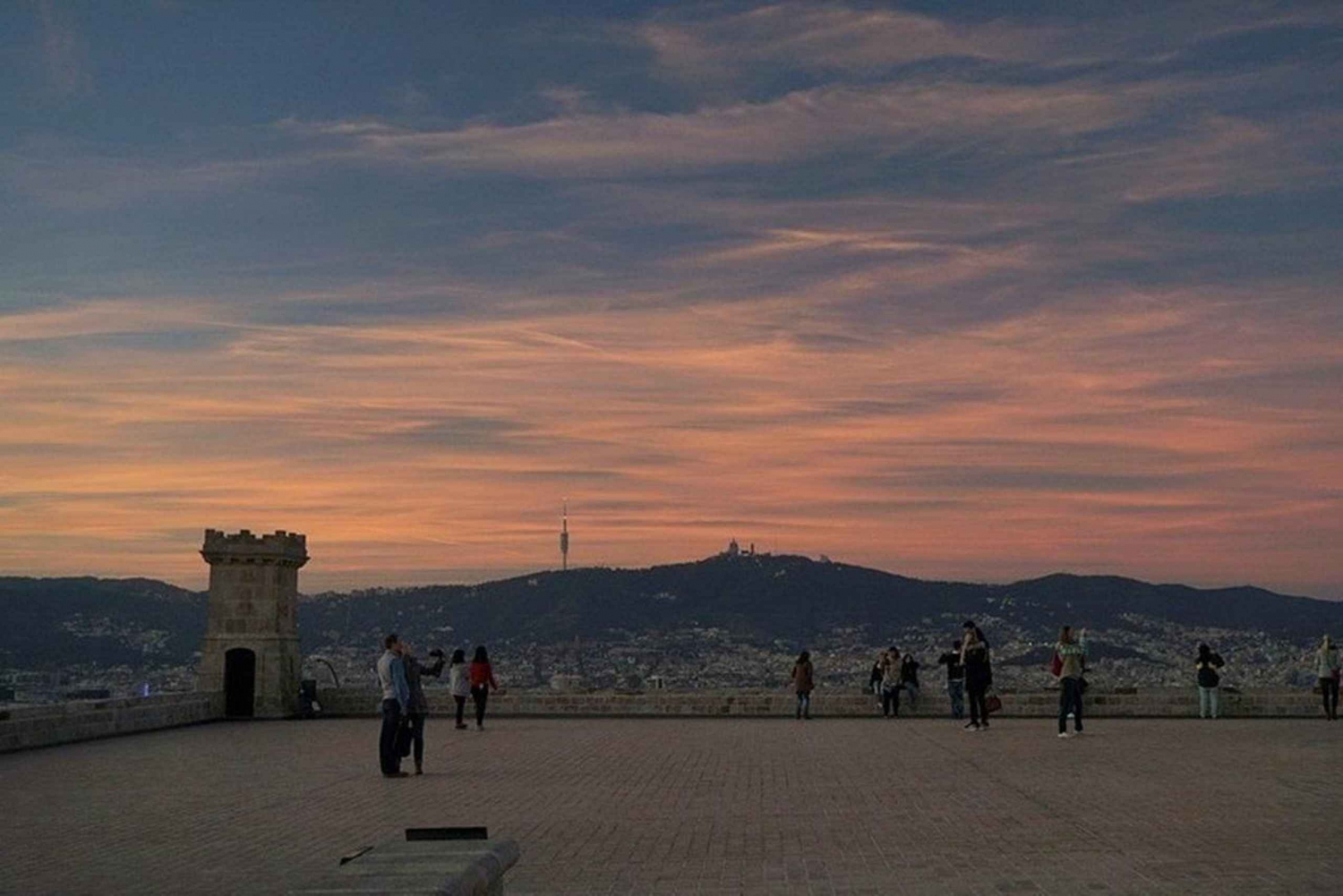 バルセロナ：プライベート2時間 バルセロナ市内観光ツアー