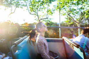 Barcelona: City Sightseeing Hop-On Hop-Off Bus Tour