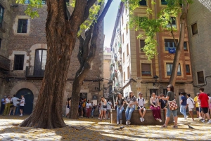 Tour de ville de Barcelone et excursion à Montserrat