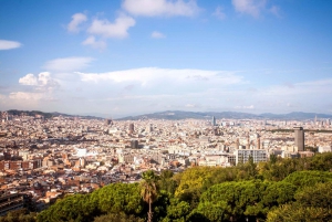 Barcelona: Montjuïc Cable Car Roundtrip Ticket