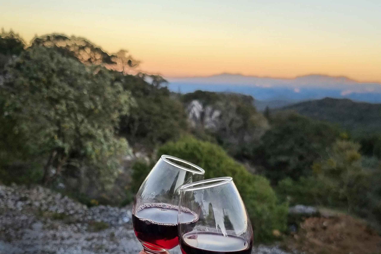 Barcelona: Tour por Montjuïc com uma taça de vinho