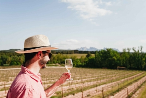 Barcelona: Montserrat Tour, Monastery & Optional Wine/Lunch