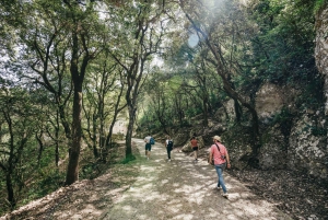 Barcelona: Montserrat Tour, Monastery & Optional Wine/Lunch