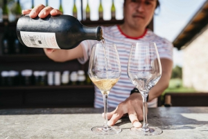 Barcelona: Montserrat Tour, Monastery & Optional Wine/Lunch