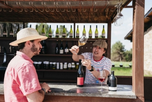 Barcelona: Montserrat Tour, Monastery & Optional Wine/Lunch