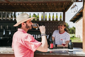 Barcelona: Montserrat Tour, Monastery & Optional Wine/Lunch