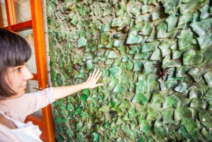 Barcelona: Sagrada Familia Fast-Track Ticket