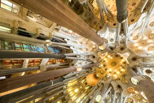 Destaques: Sagrada Família, Parque Güell, Montjuïc e Bairro Gótico
