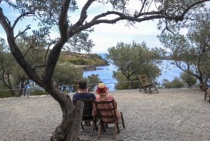 From Barcelona: Dalí-Themed Cadaqués & Costa Brava Day Trip