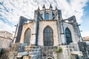 From Barcelona: Girona, Dalí Museum, and Cadaqués Day Trip