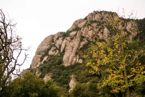 From Barcelona: Half-Day Montserrat Experience