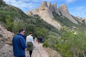 From Barcelona: Montserrat National Park Guided Hike