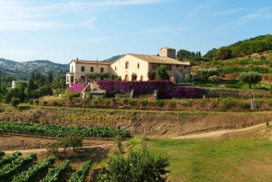 Von Barcelona aus: Segeln und E-Bike Weinkellertour mit Verkostungen