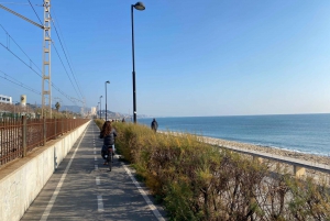 From Barcelona: Sailing and E-bike Winery Tour with Tastings