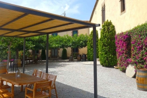 From Barcelona: Sailing and E-bike Winery Tour with Tastings