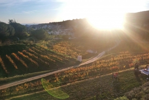 From Barcelona: Sailing and E-bike Winery Tour with Tastings