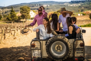 From Barcelona: Wine, Cava, Tapas & Vineyards 4WD Experience