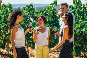 From Barcelona: Wine, Cava, Tapas & Vineyards 4WD Experience