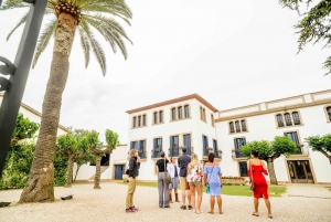 From Barcelona: Wine, Cava, Tapas & Vineyards 4WD Experience