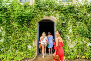 From Barcelona: Wine, Cava, Tapas & Vineyards 4WD Experience