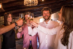 From Barcelona: Wine, Cava, Tapas & Vineyards 4WD Experience