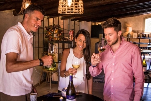 From Barcelona: Wine, Cava, Tapas & Vineyards 4WD Experience