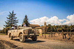 From Barcelona: Wine, Cava, Tapas & Vineyards 4WD Experience