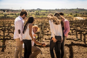 From Barcelona: Wine, Cava, Tapas & Vineyards 4WD Experience