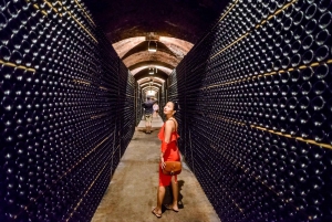 From Barcelona: Wine, Cava, Tapas & Vineyards 4WD Experience