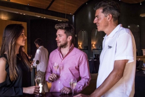 From Barcelona: Wine, Cava, Tapas & Vineyards 4WD Experience