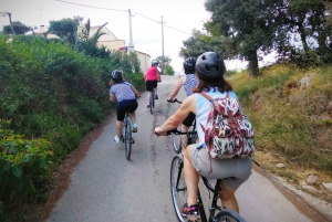 From Sitges: Cycling Tour with Winery visit and Tasting