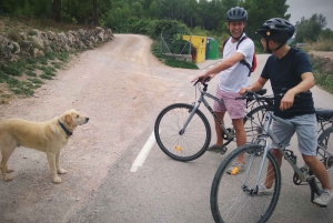 From Sitges: Cycling Tour with Winery visit and Tasting
