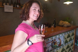 From Sitges: Cycling Tour with Winery visit and Tasting