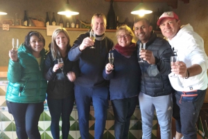 From Sitges: Cycling Tour with Winery visit and Tasting