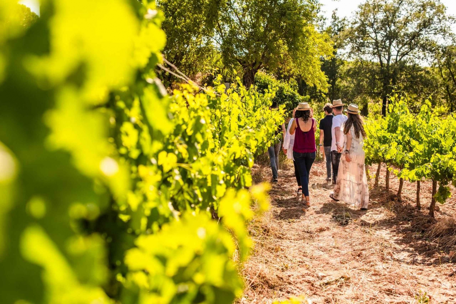 Barcelona: Montserrat, zwiedzanie winiarni i lunch z degustacją wina