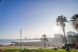 Intimate Barcelona eBike Tour with Gourmet Tapas & Wine