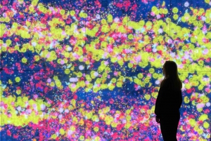 Moco Museum Barcelona: Entry Tickets with Banksy and More