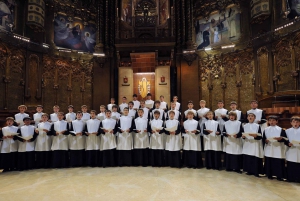 Montserrat & Cava Wineries Day Trip from Barcelona w/ Pickup