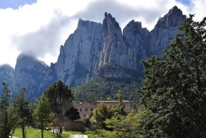 Montserrat & Cava Wineries Day Trip from Barcelona w/ Pickup