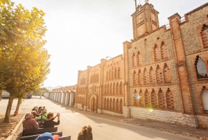 Montserrat & Cava Winery Small Group Day Tour