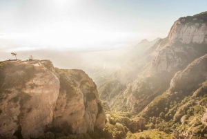 Montserrat & Cava Winery Small Group Day Tour