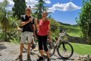 Penedès/BCN: Tour guiado em eBike com visita guiada a uma adega