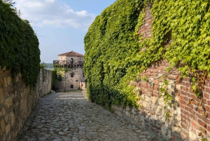 Belgrade: 3-Hour Serbian History Walking Tour