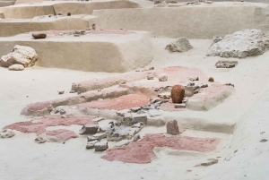 From Belgrade: Full-Day Historical Danube Tour