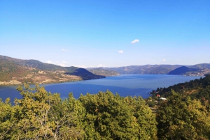 From Belgrade: Full-Day Historical Danube Tour