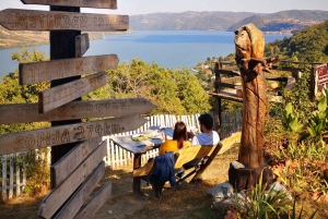 From Belgrade: Full-Day Historical Danube Tour