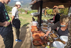 From Belgrade: Golubac Fortress and Iron Gate Gorge Tour